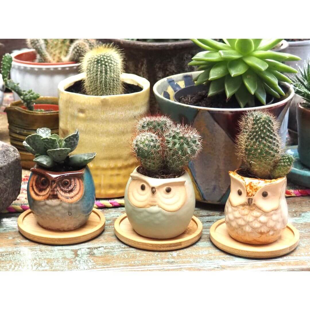 Owl Ceramic Planters with Saucers - Set of Three - Blue, Brown & Mint