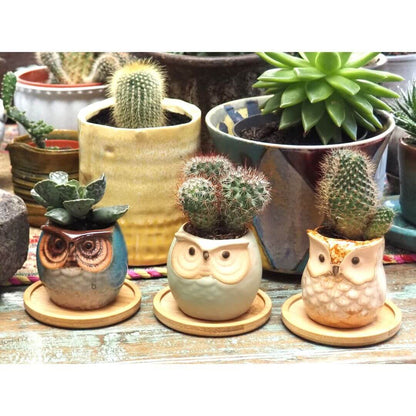 Owl Ceramic Planters with Saucers - Set of Three - Blue, Brown & Mint
