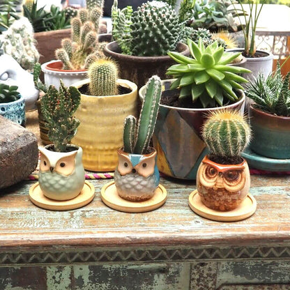 Rustic Owl Ceramic Planters with Bamboo Saucers - Set of Three - Teal, Cream & Sage