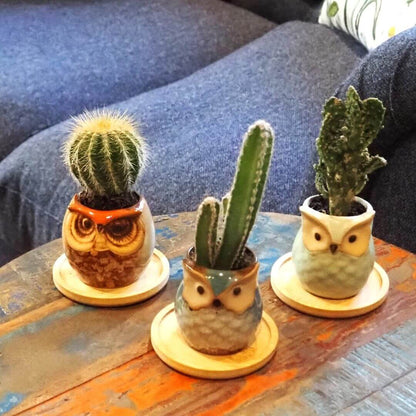 Rustic Owl Ceramic Planters with Bamboo Saucers - Set of Three - Teal, Cream & Sage