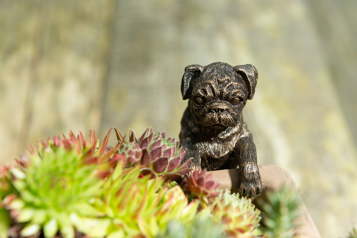 Pug Potty Feet and Pot Buddy