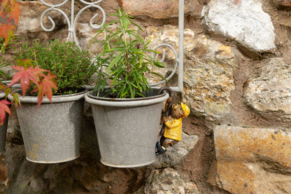 Wind In The Willows Range of 5 Pot Buddies
