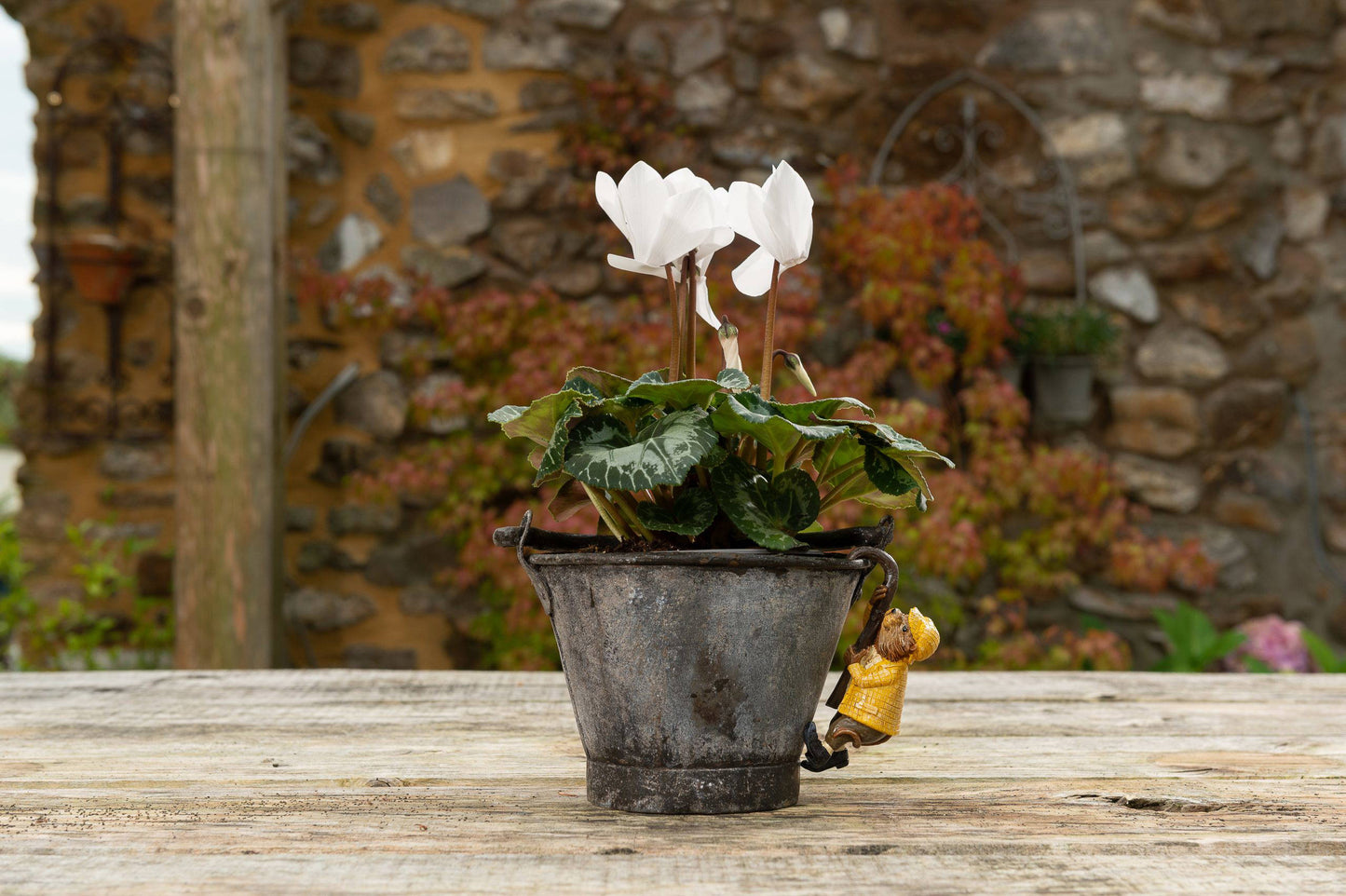 Wind In The Willows Range of 5 Pot Buddies