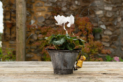 Wind In The Willows Range of 5 Pot Buddies