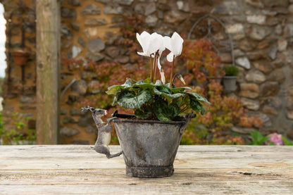 Christmas Set of 5 Pot Buddies