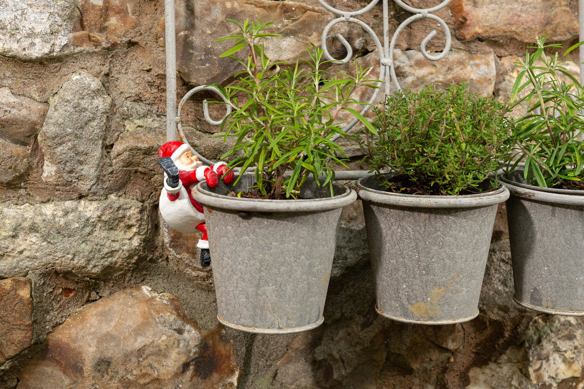 Pot Buddies Father Christmas Plant Pot Hanger