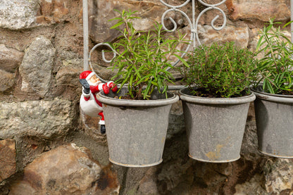 Pot Buddies Father Christmas Plant Pot Hanger