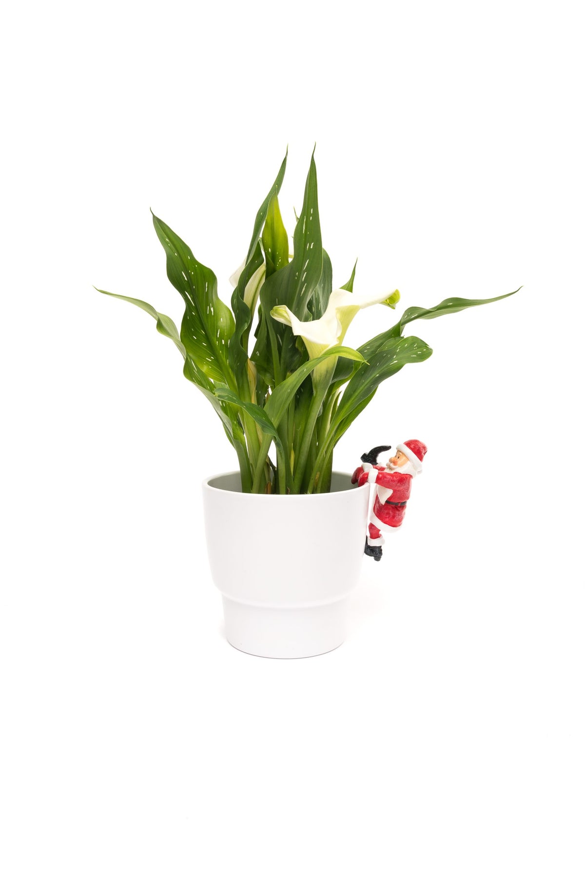 Pot Buddies Father Christmas Plant Pot Hanger