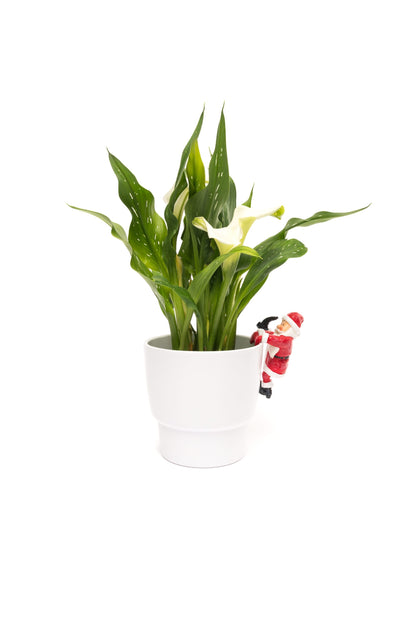 Pot Buddies Father Christmas Plant Pot Hanger