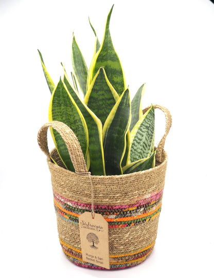 Munja And Reclaimed Fabric Eco Plant Pot Cover With Handles - Set Of 3