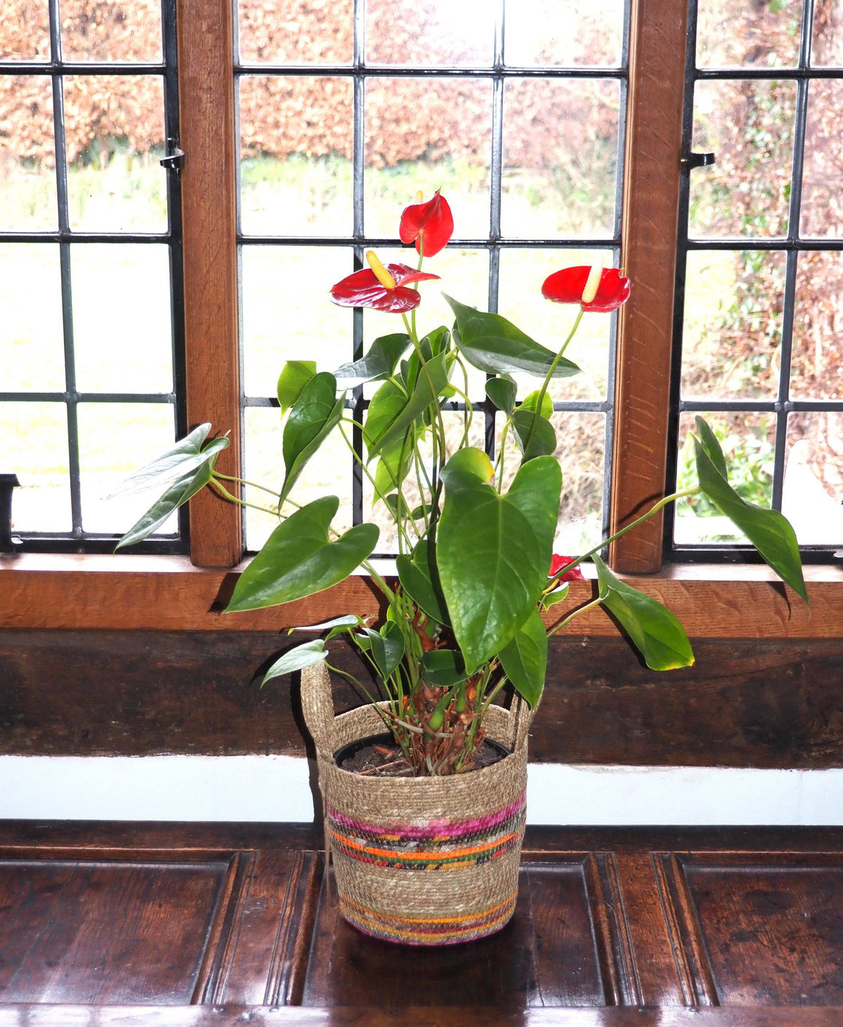 Munja And Reclaimed Fabric Eco Plant Pot Cover With Handles - Set Of 3