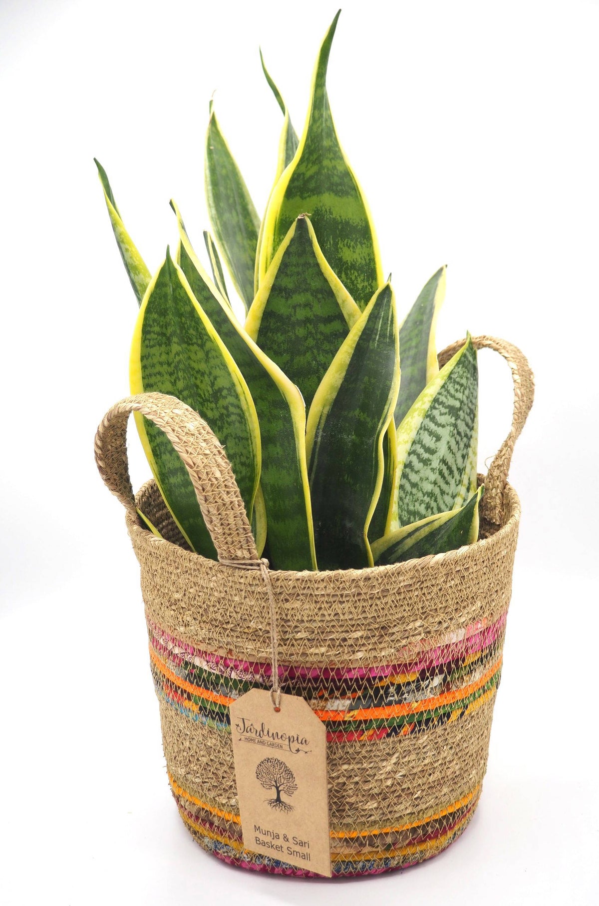 Munja And Reclaimed Fabric Eco Plant Pot Cover With Handles - Medium