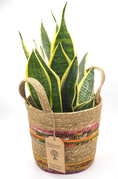 Munja And Reclaimed Fabric Eco Plant Pot Cover With Handles - Medium