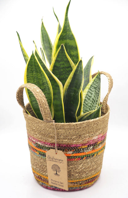 Munja And Reclaimed Fabric Eco Plant Pot Cover With Handles - Medium