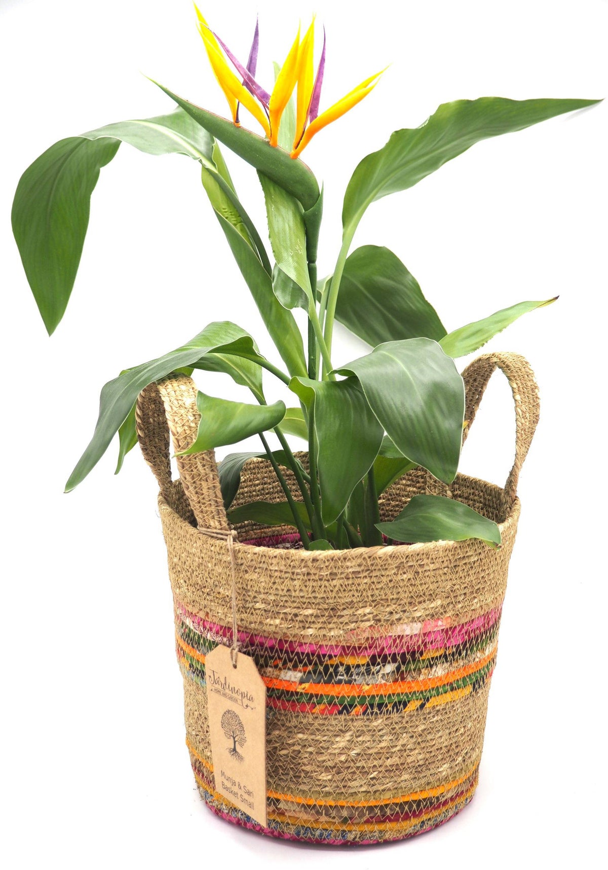 Munja And Reclaimed Fabric Eco Plant Pot Cover With Handles - Medium