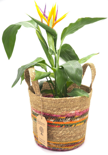 Munja And Reclaimed Fabric Eco Plant Pot Cover With Handles - Medium