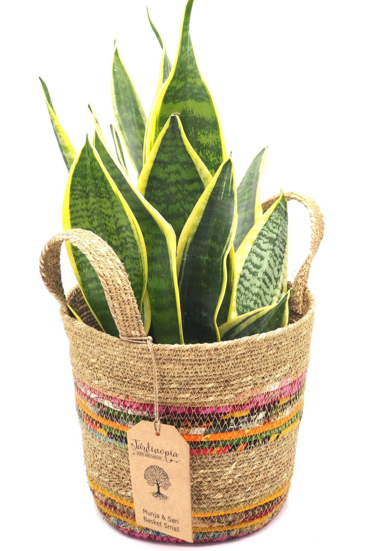 Munja And Reclaimed Fabric Eco Plant Pot Cover With Handles - Small