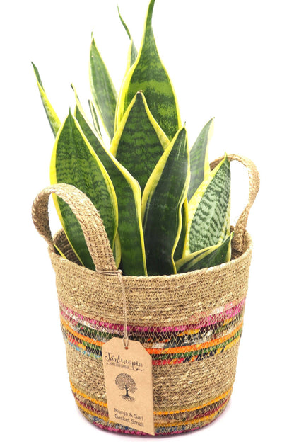 Munja And Reclaimed Fabric Eco Plant Pot Cover With Handles - Small