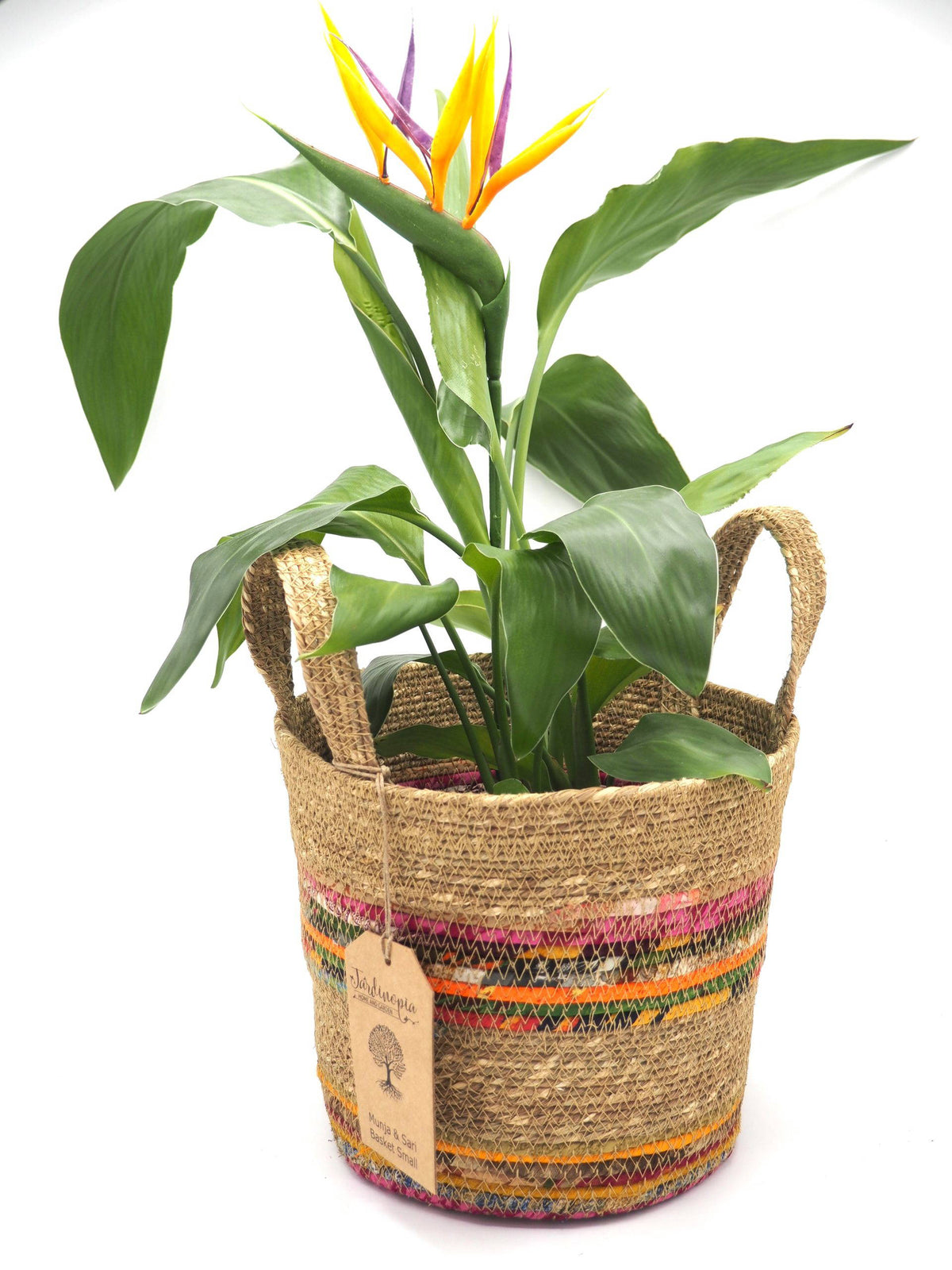 Munja And Reclaimed Fabric Eco Plant Pot Cover With Handles - Small