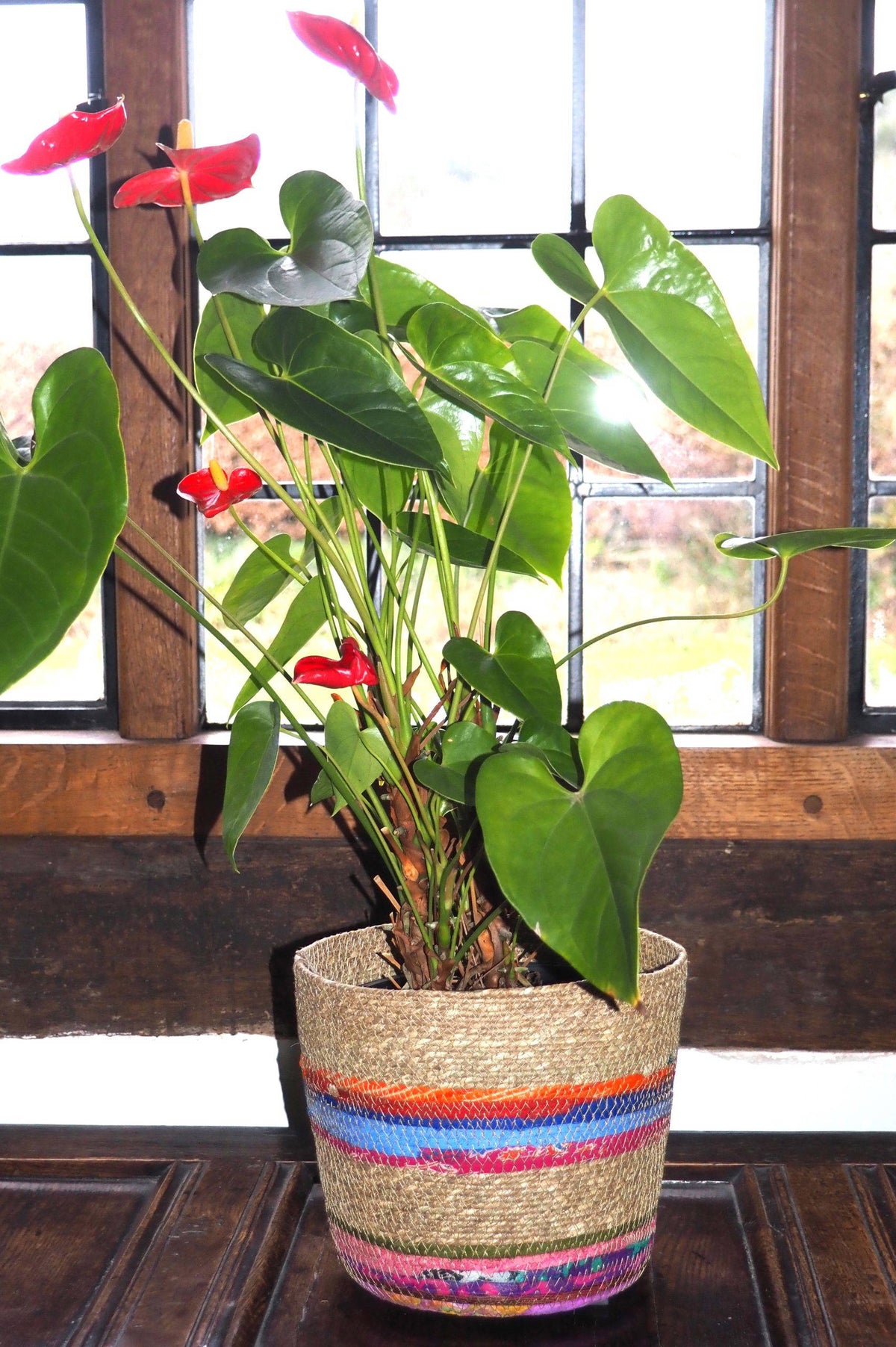 Munja And Reclaimed Fabric Eco Planter With Removable Metal Liner - Set Of 3
