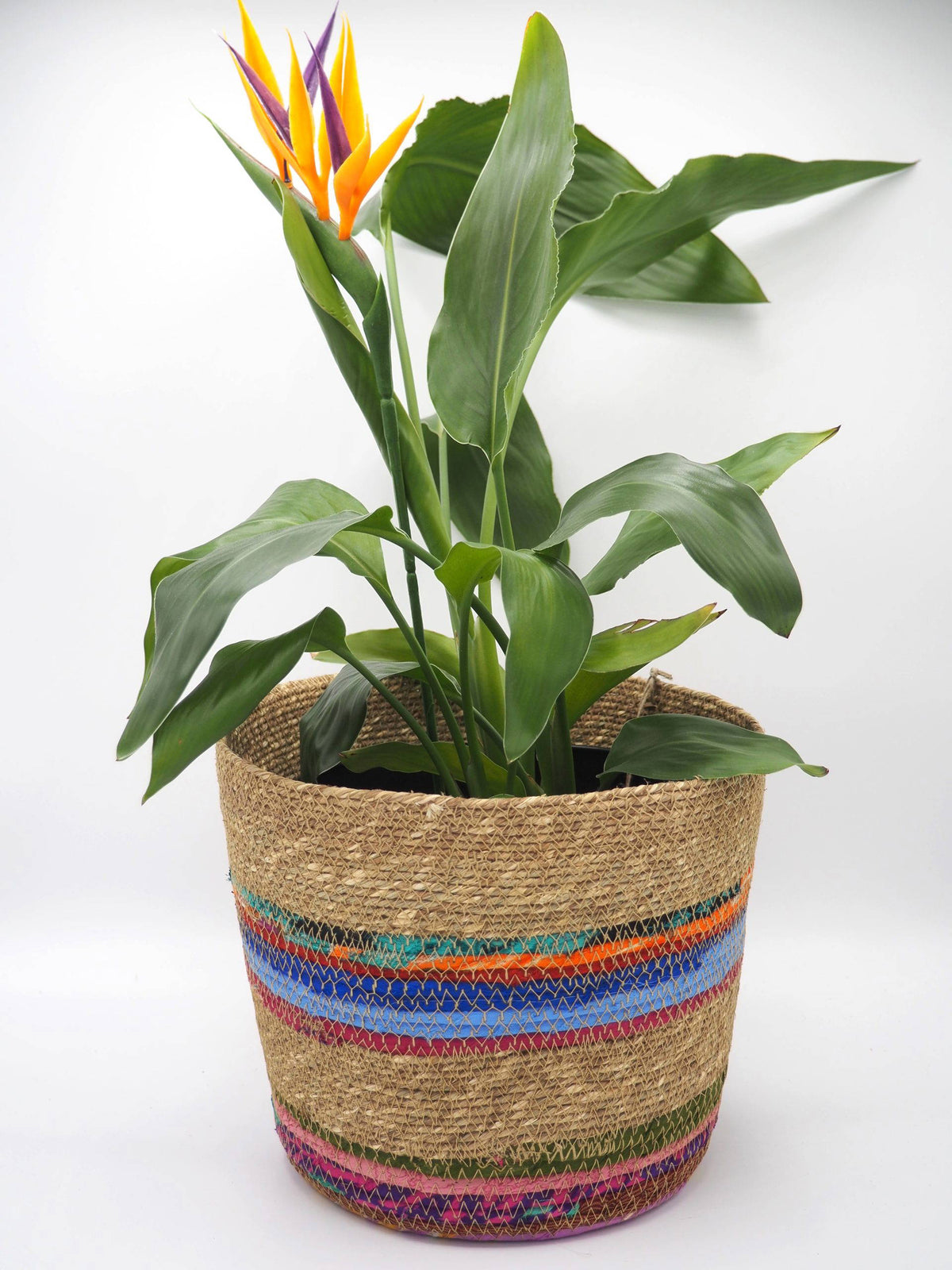 Munja And Reclaimed Fabric Eco Planter With Removable Metal Liner - Set Of 3
