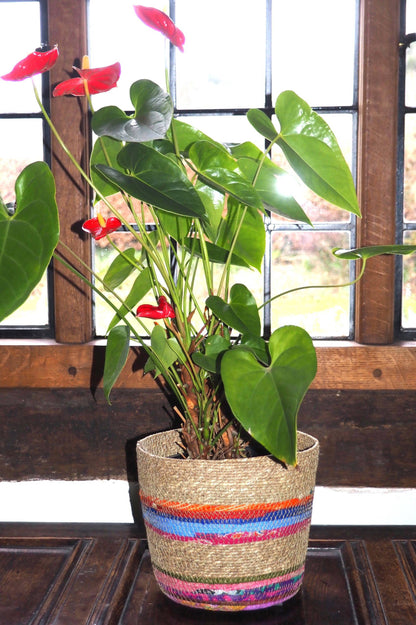 Munja And Reclaimed Fabric Eco Planter With Removable Metal Liner - Large