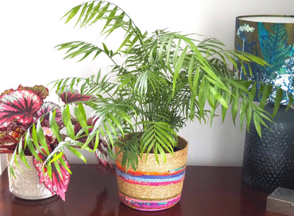 Munja And Reclaimed Fabric Eco Planter With Removable Metal Liner - Medium