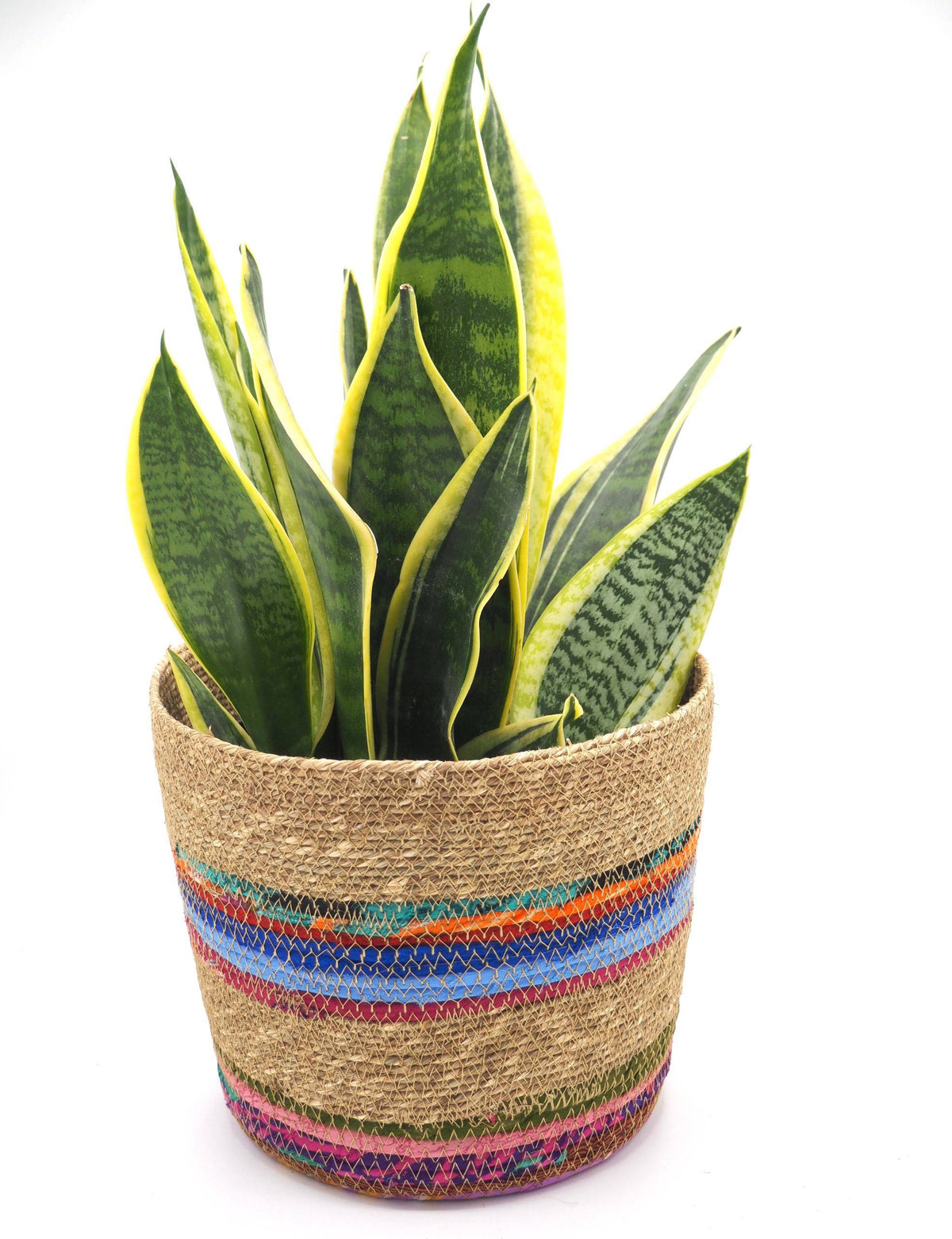 Munja And Reclaimed Fabric Eco Planter With Removable Metal Liner - Small