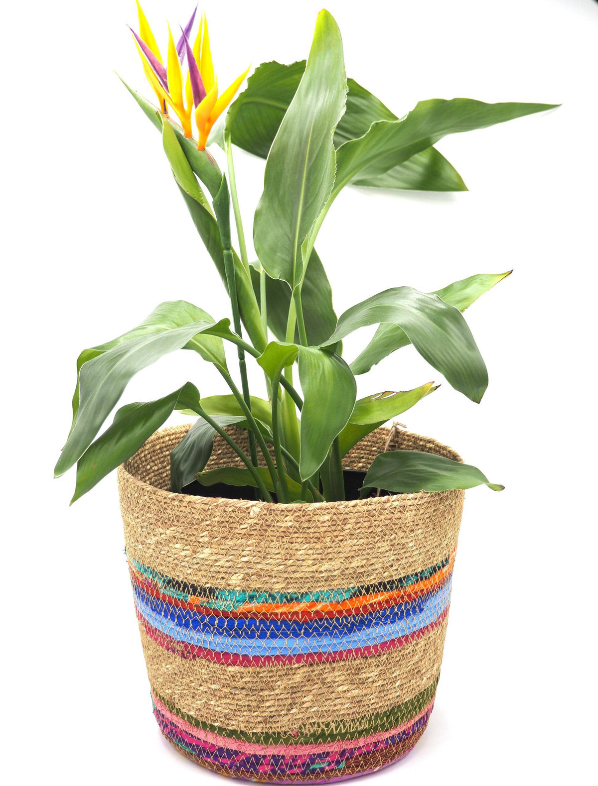 Munja And Reclaimed Fabric Eco Planter With Removable Metal Liner - Small