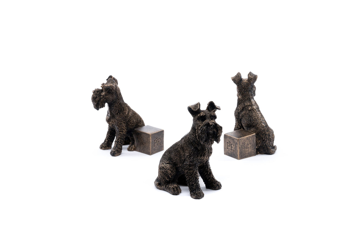 Schnauzer Potty Feet and Pot Buddy