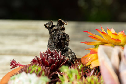 Schnauzer Potty Feet and Pot Buddy