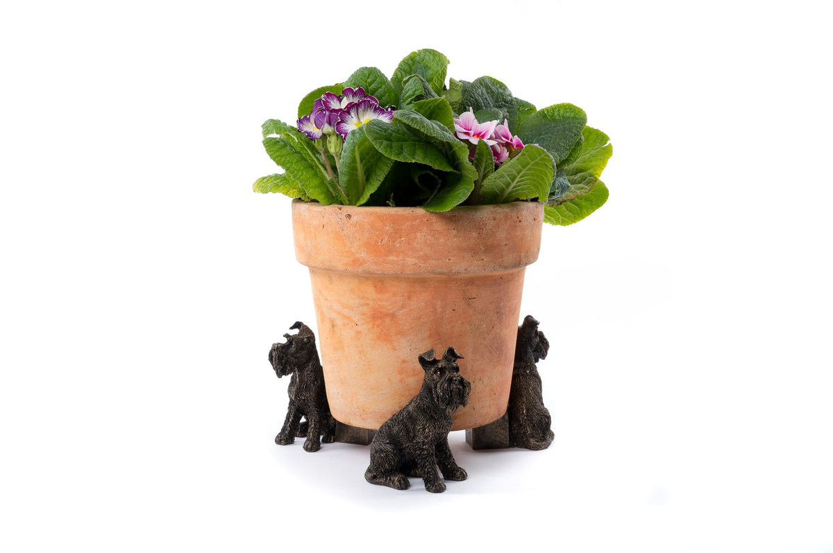 Schnauzer Potty Feet and Pot Buddy