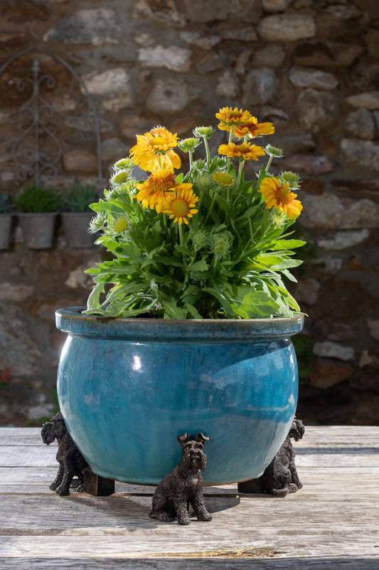 Schnauzer Plant Pot Feet - Set of 3