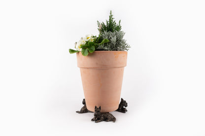 Scottish Terrier Potty Feet and Pot Buddy