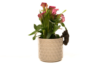 Scottish Terrier Potty Feet and Pot Buddy