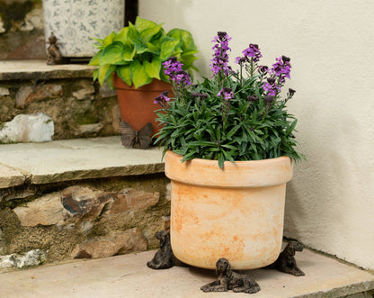 Irish Setter Plant Pot Feet - Set of 3