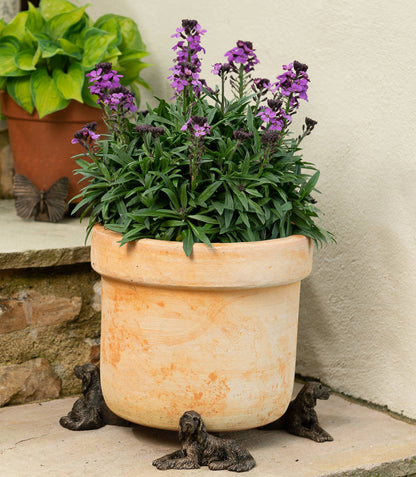 Irish Setter Plant Pot Feet - Set of 3