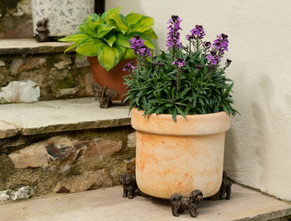 Shih Tzu Plant Pot Feet - Set of 3