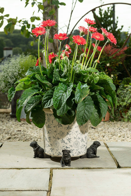 British Bulldog Potty Feet & Pot Buddy