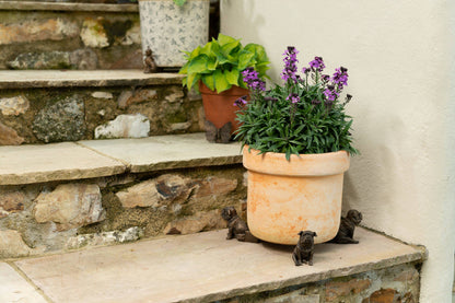 British Bulldog Potty Feet & Pot Buddy
