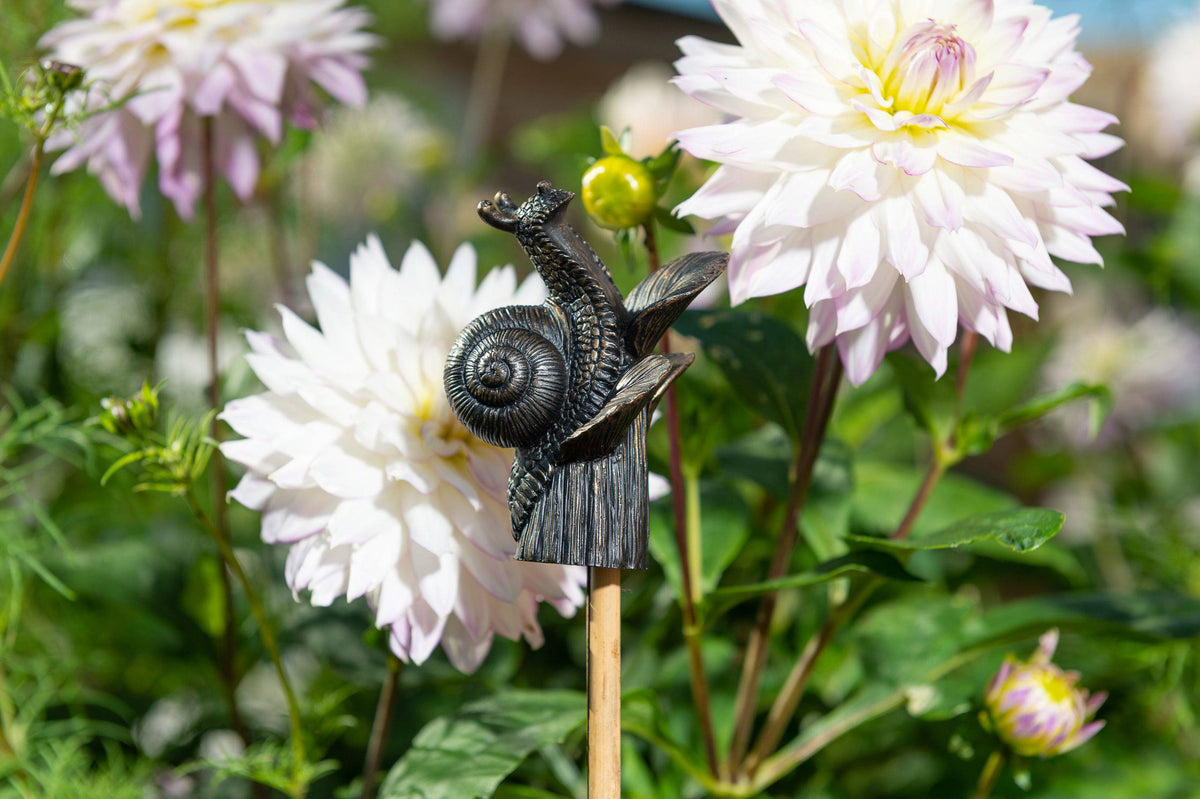 Snail Potty Feet and Pot Buddy and Cane Companion Bundle Set