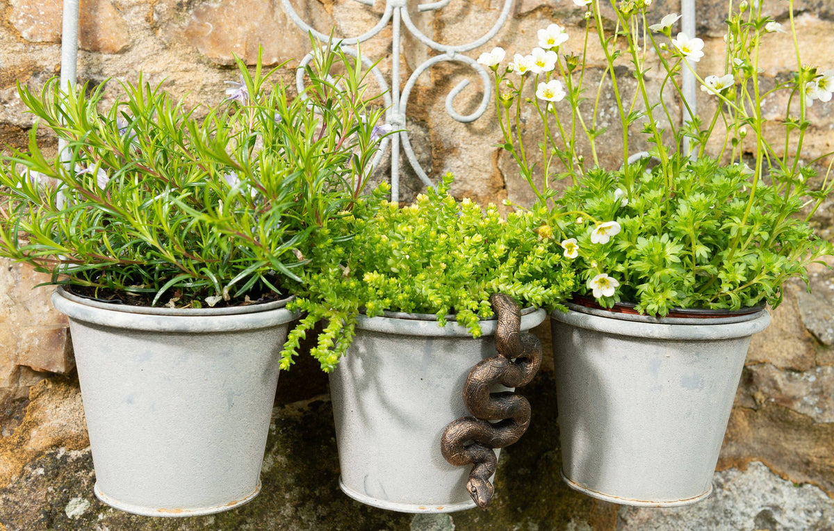 Gecko & Snake Bundle Set