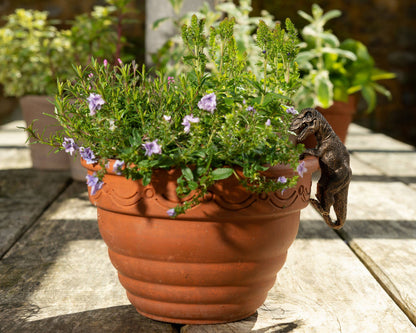 Tyranasaurus Rex Plant Pot Hanger