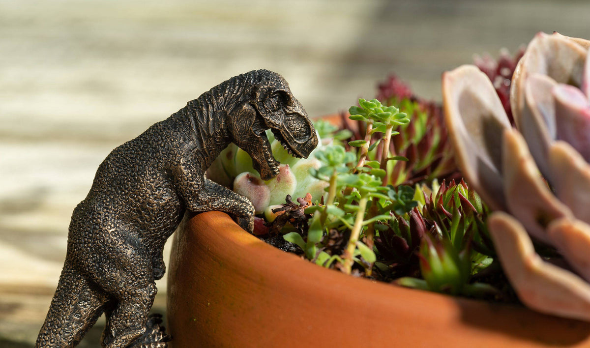 T-Rex & Velociraptor