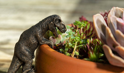 T-Rex & Velociraptor