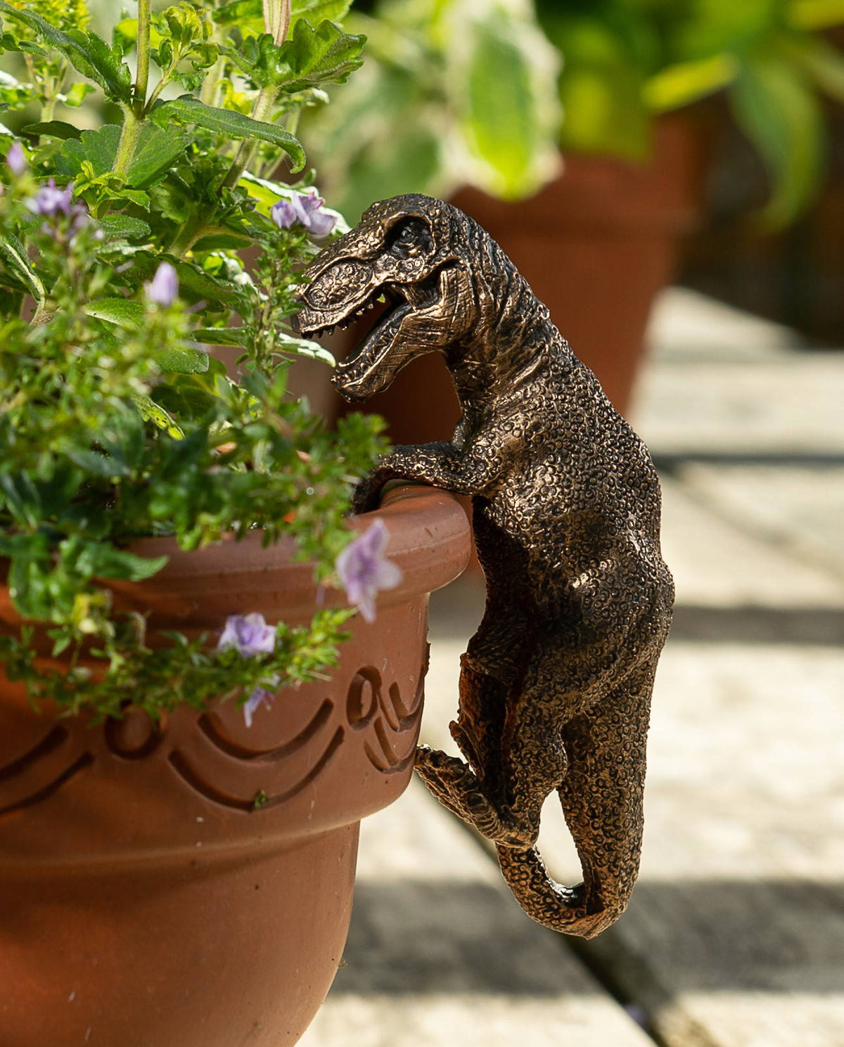 Tyranasaurus Rex Plant Pot Hanger