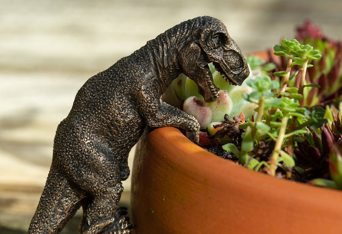 T-Rex & Velociraptor