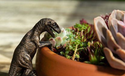 T-Rex & Velociraptor