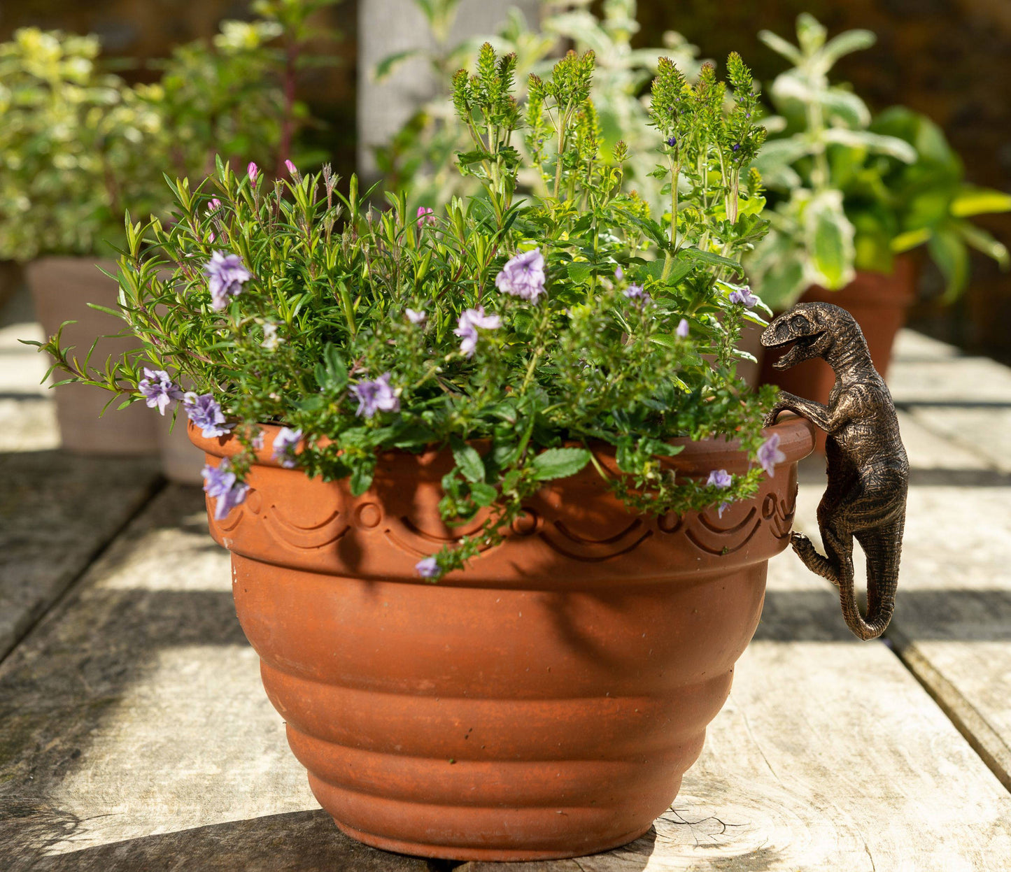 Velociraptor, Triceratops, Pteranodon Set of Three Pot Buddies Plant Pot Hangers