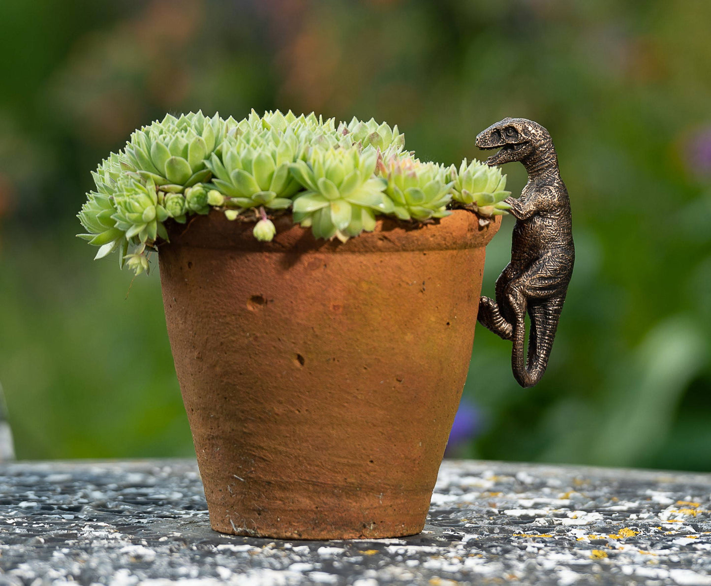 Velociraptor, Triceratops, Pteranodon Set of Three Pot Buddies Plant Pot Hangers